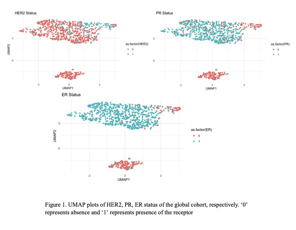 UMAP Global Cluster